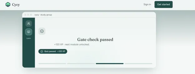 Cycy Gate Check
